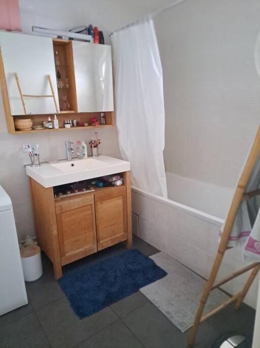 Appartement Cosy Avec Jardin Et Parking Gennevilliers Εξωτερικό φωτογραφία